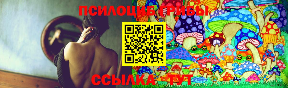 Галлюциногенные грибы Cubensis  Вход с VPN  Шадринск  Псилоцибиновые грибы Psilocybine cubensis 
