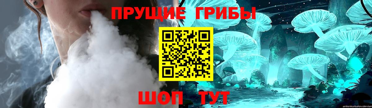 Псилоцибиновые грибы Cubensis Шадринск